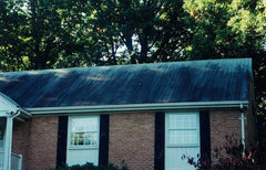 Roof Cleaning